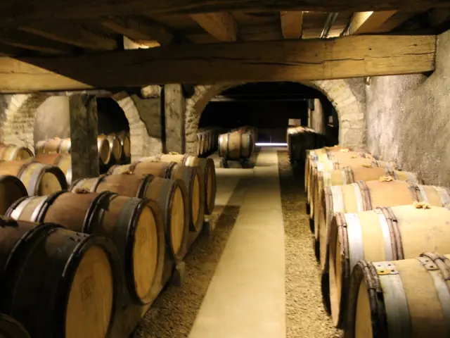 Weinkeller Cote Chalonnaise Jm 2
