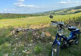 @Ride and Wine