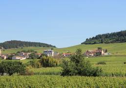 Mercurey Côte Chalonnaise