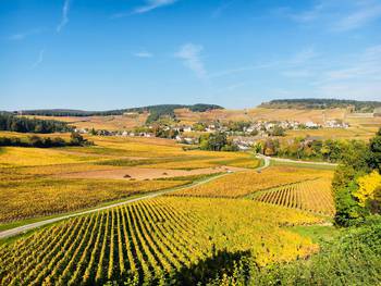 Paysages viticoles de la Côte Chalonnaise en automne