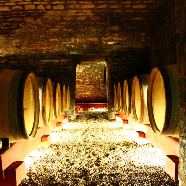 Cave dans la Côte Chalonnaise