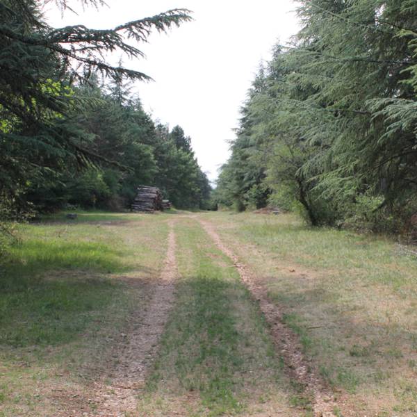 Wanderungen