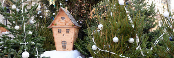 <h3>Des nouveautés à offrir pour Noël</h3>
