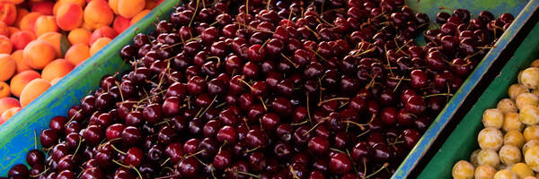 Balades gourmandes