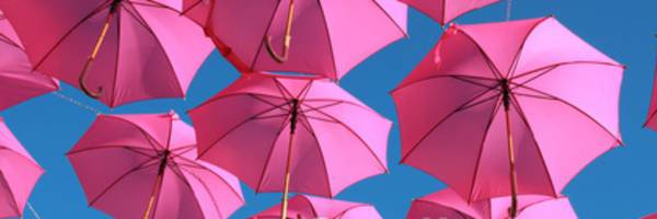 <h3>Octobre rose dans le Grand-Chalon ...</h3>