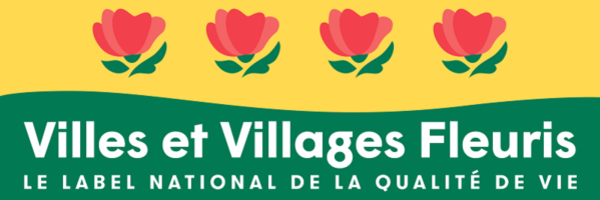 En automne, les feuilles tombent... mais pas les fleurs !