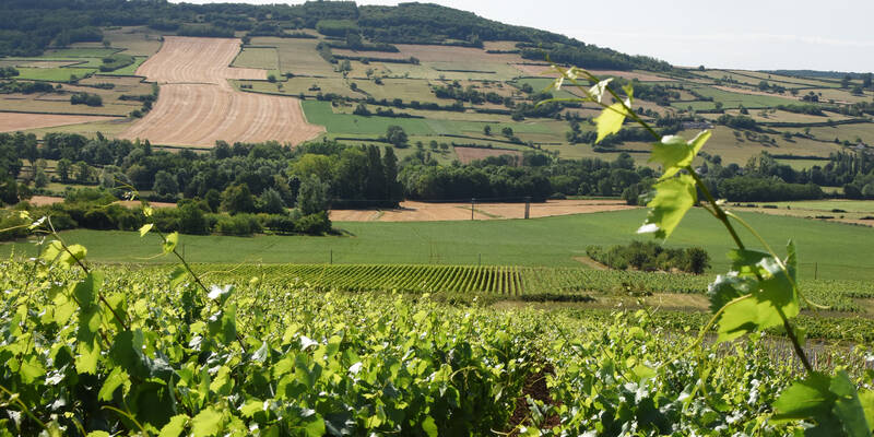 crédit photo Rozenn Krebel