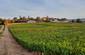 Vignobles de Mercurey