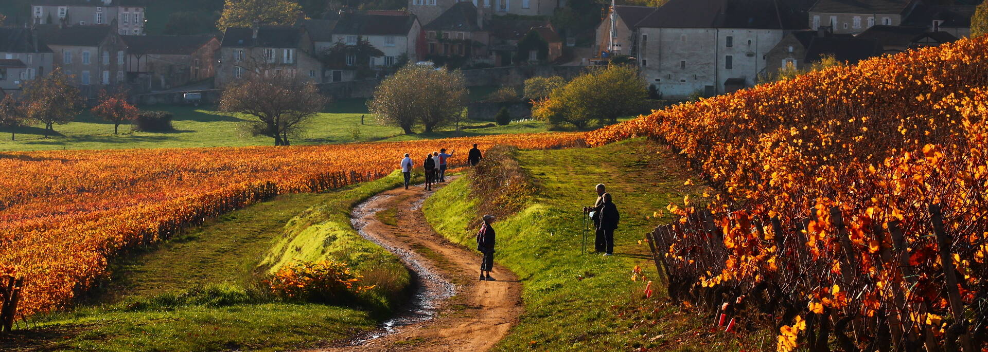 Randonnée Givry Russilly Automne