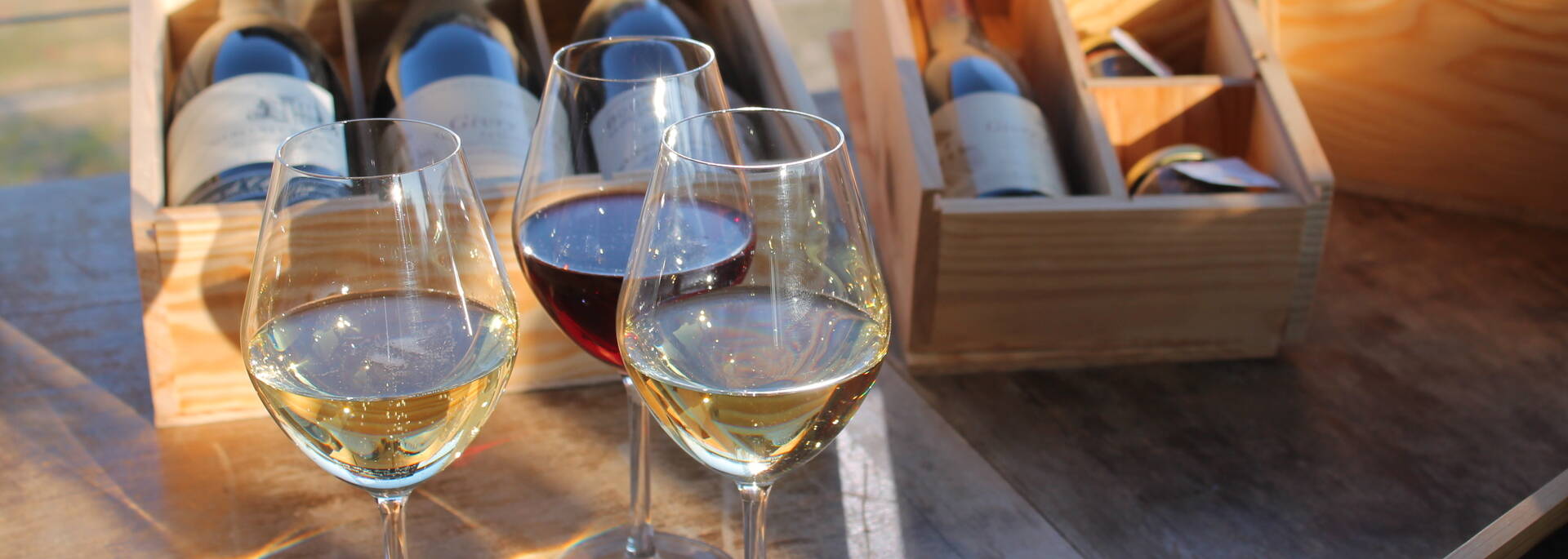 Dégustation à la Maison des Vins de la Côte Chalonnaise