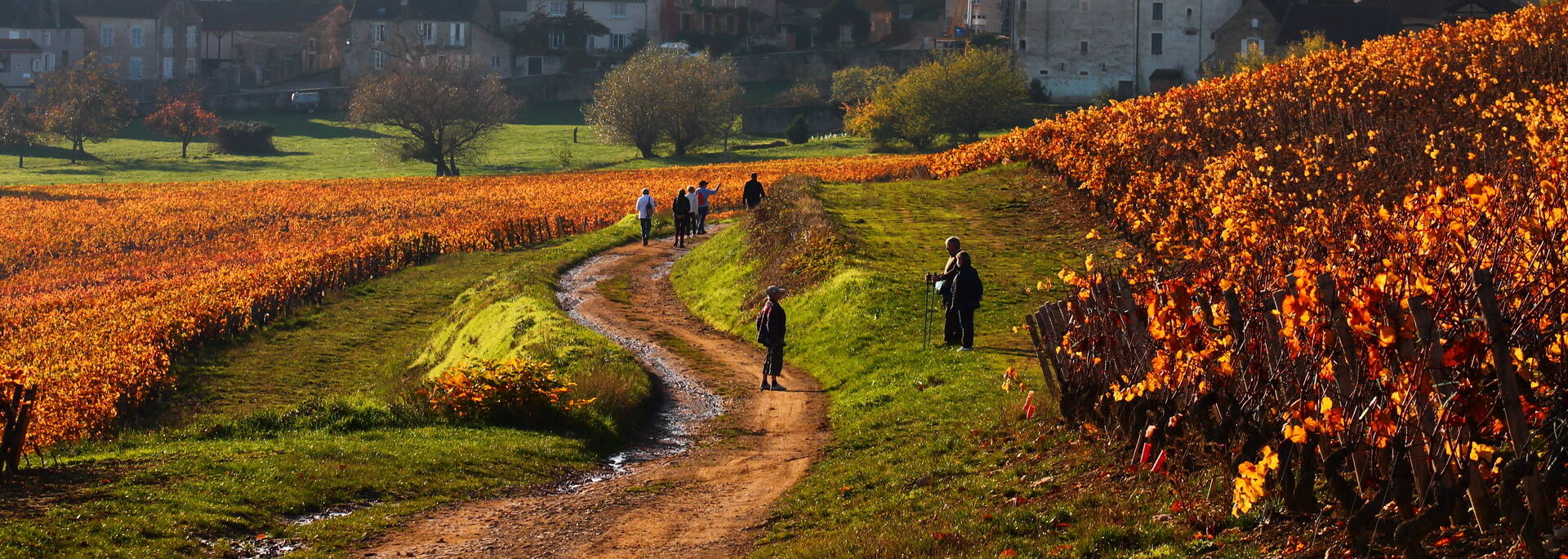 Randonnée Côte Chalonnaise Automne