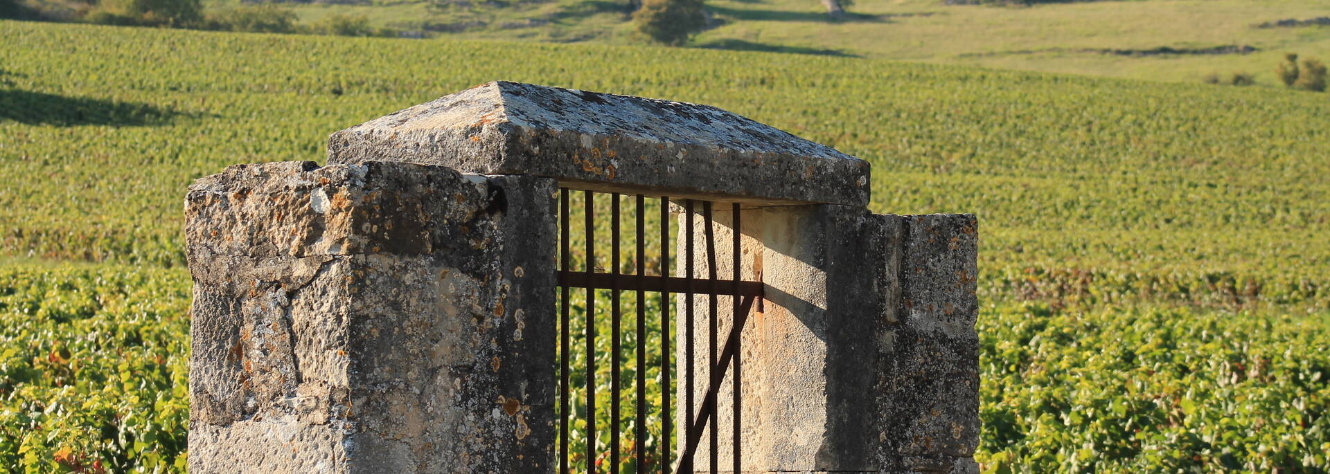 Entrée clos viticole Givry