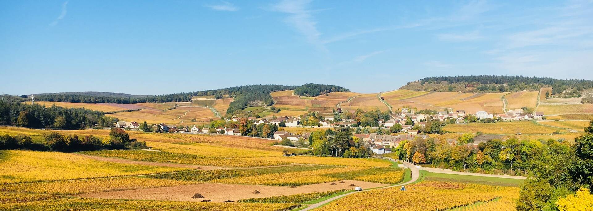 Randonnée Mercurey Côte Chalonnaise